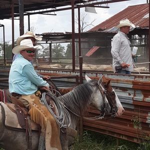 Meet your Posher, Dorman